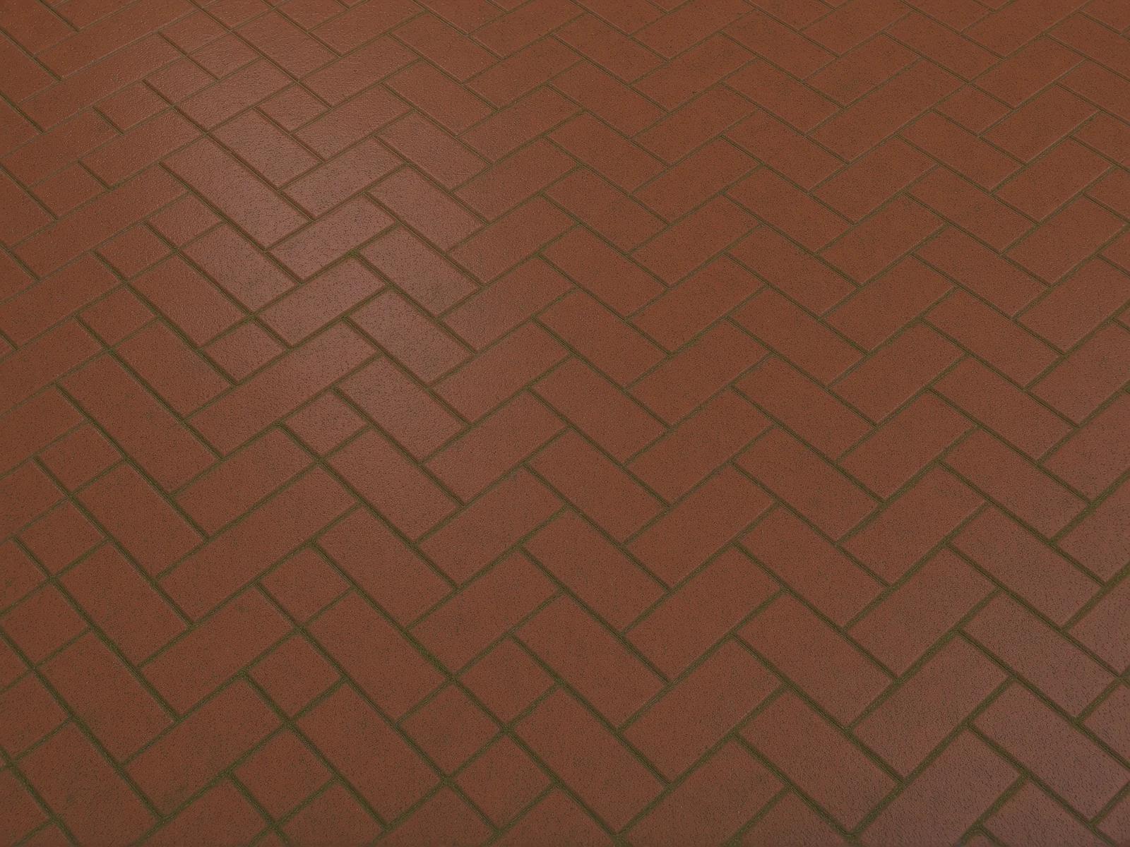 Driveway before cleaning